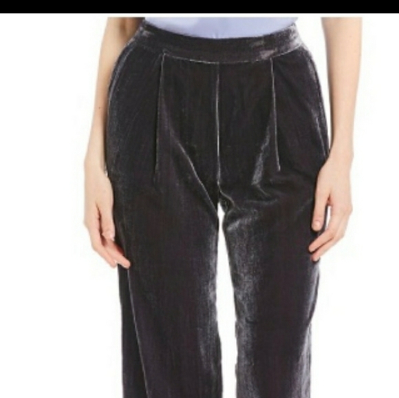 Sigrid Olsen Pants - Sigrid olsen Iron Crushed Velvet Pants New 14